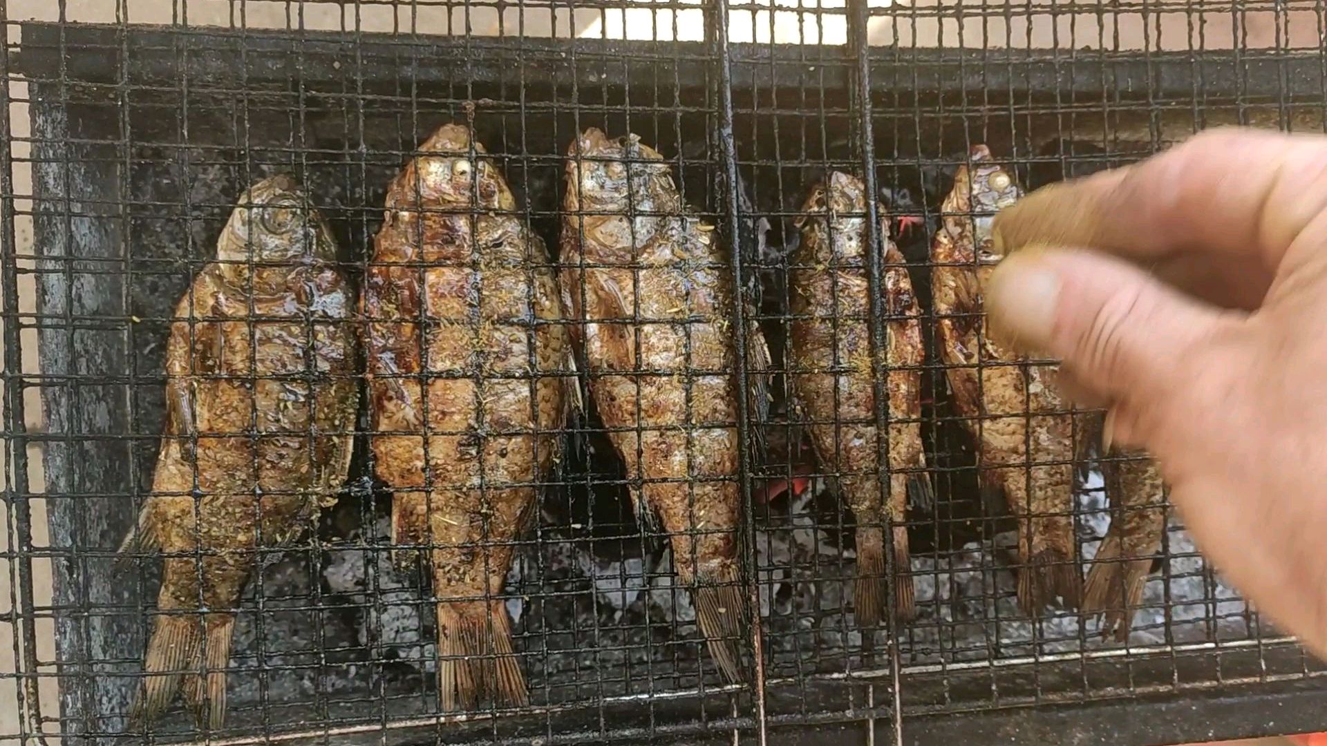 在自家院子里做道碳烤小鲫鱼,外酥里嫩,满院飘香