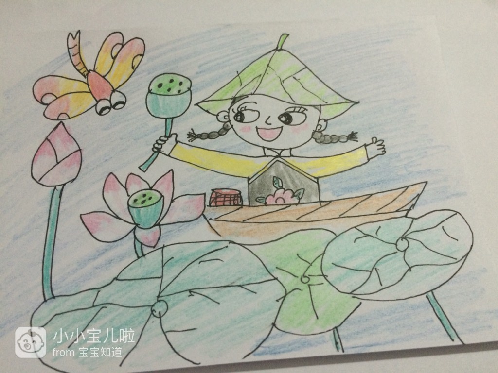 「亲子绘画」去看荷花,摘莲蓬了