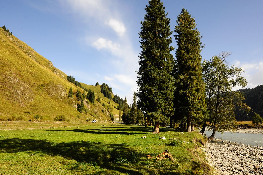 新疆百里画廊——位于尼勒克以东喀什河流域的唐布拉草原,是伊犁地区