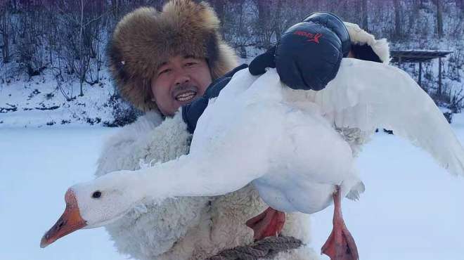 [图]零下30多度了，大雪封山，长白山雪地里铁锅炖大鹅，嘎嘎香