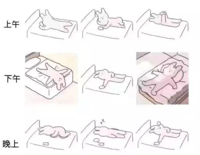 疫情期间在家能做什么?别急 居家攻略了解一下!