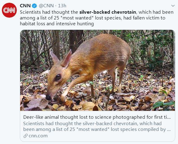 越南野外再现濒危生物银背鼷鹿