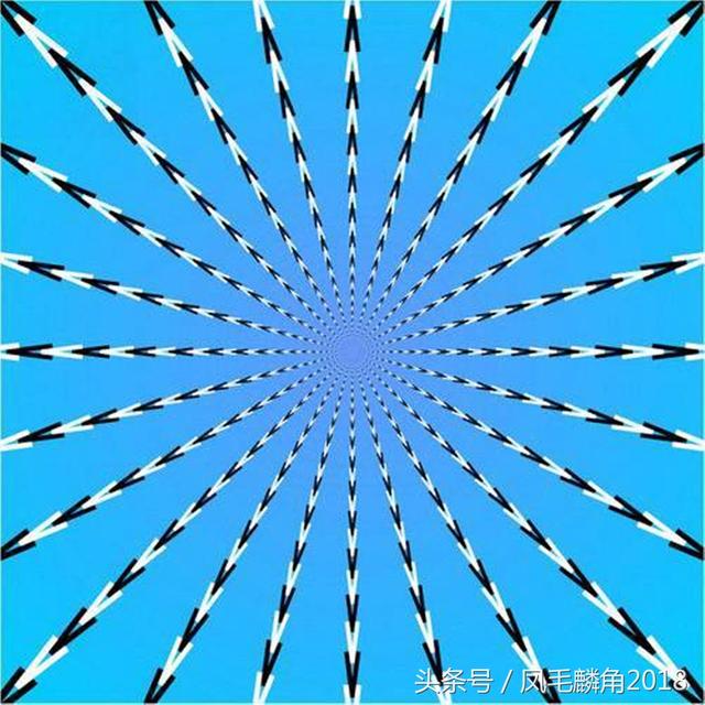 这些图片是静态图还是动态图呢?先别看答案,你还相信眼见为实吗