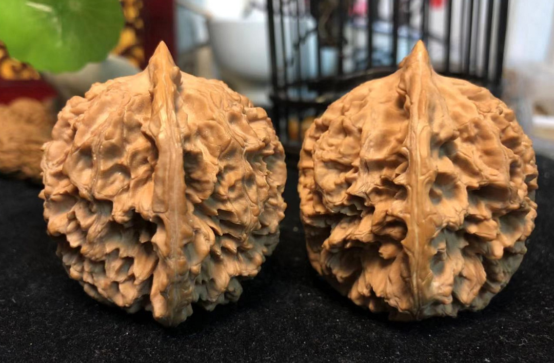 核桃- 热门商品专区