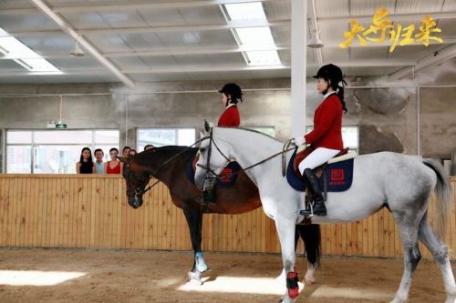 《大导归来》今日上映 职场精英吴恙有颜又有才