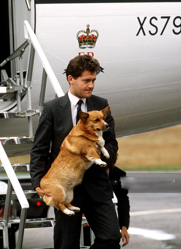 世界上待遇最高的狗,英国女王伊丽莎白对它到底有多宠