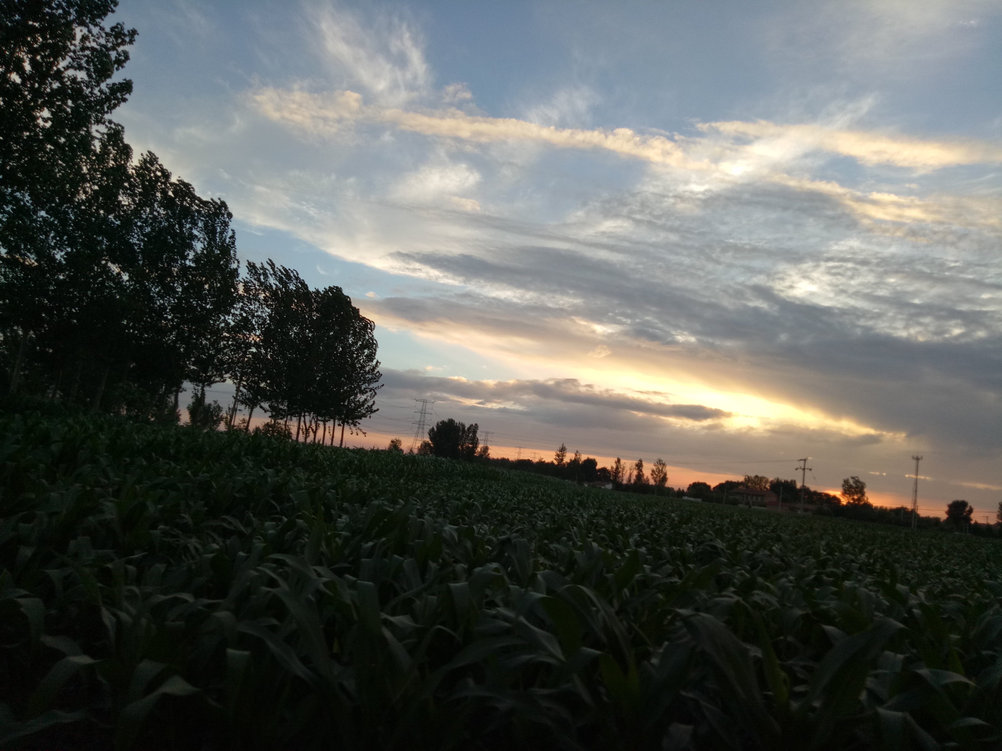 良辰美景,无限好.