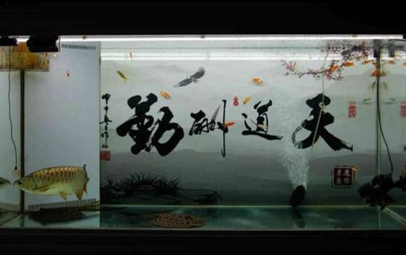 鱼缸背景纸,通常有水草,沉木,岩石,珊瑚等图案的,也有蓝色,黑色,白色