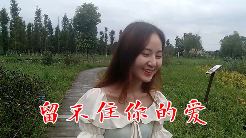 一首伤感情歌留不住你的爱催人泪下唱出了多少痴情人的心声