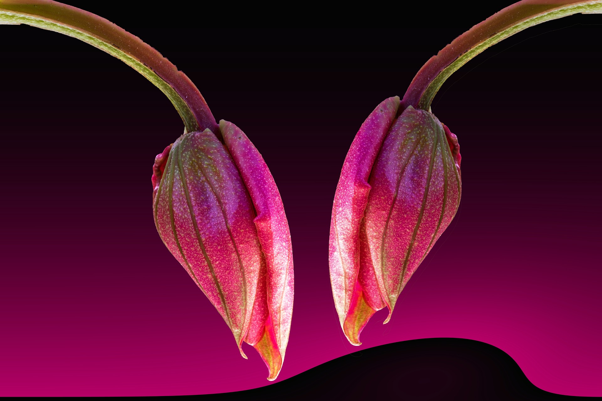 "多愁善感"双鱼座 赶霉运迎好运就靠ta