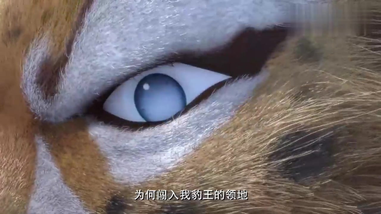 动漫壁纸:独眼豹来临阻止众人,不料赵琳竟不怕独眼豹,还是真勇敢