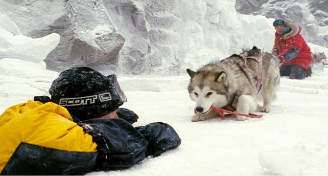 2018年度神动态#《南极大冒险》(eight below),改编自1958年日本派遣