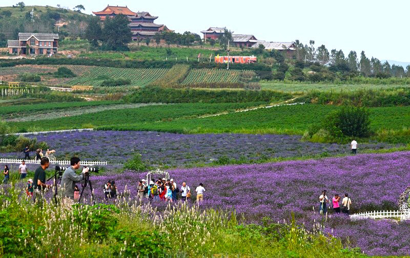 多亏南阳一座山救他,虽贵为天子,可没登基之前,被对手四处围追