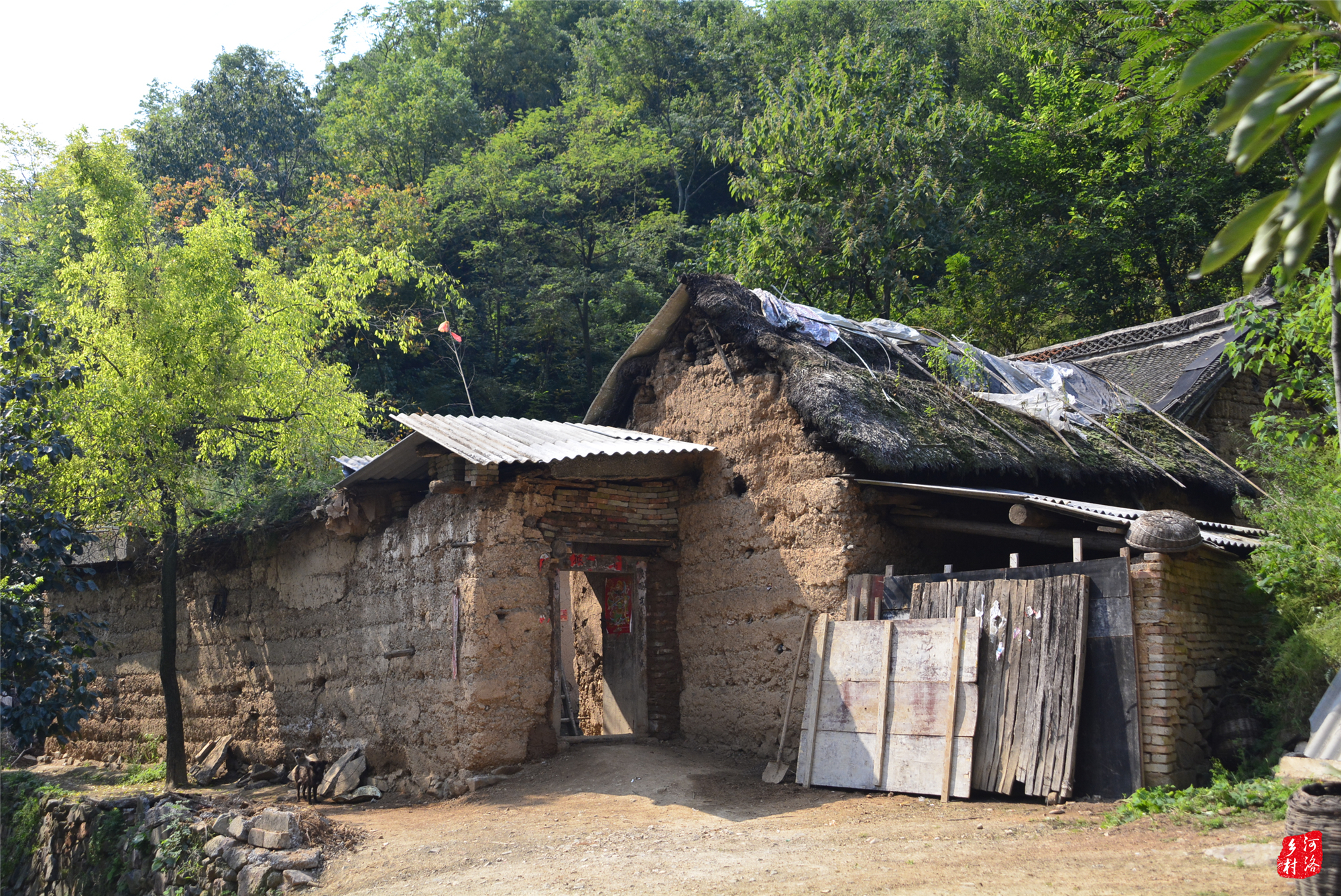 山沟老头老太野外性图片