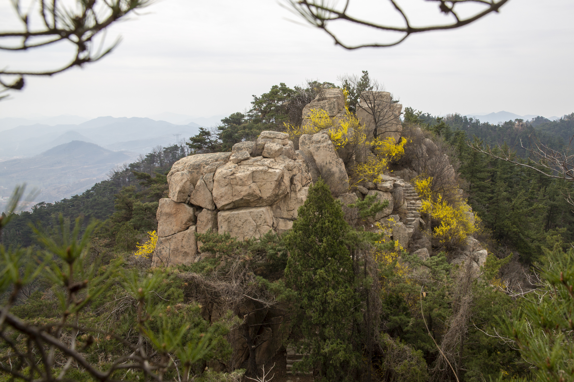 免費景點,臨朐嵩山開滿