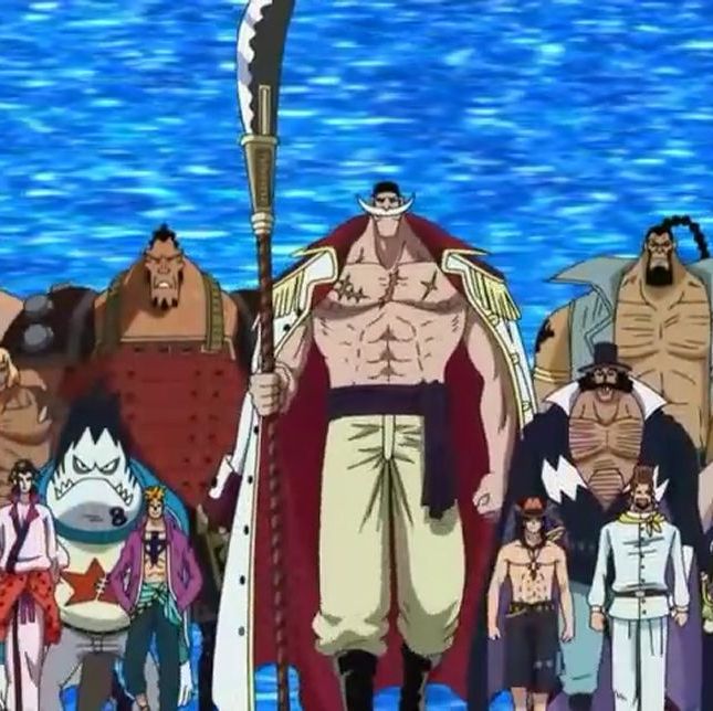 白胡子海贼团,成为老爹的干儿子