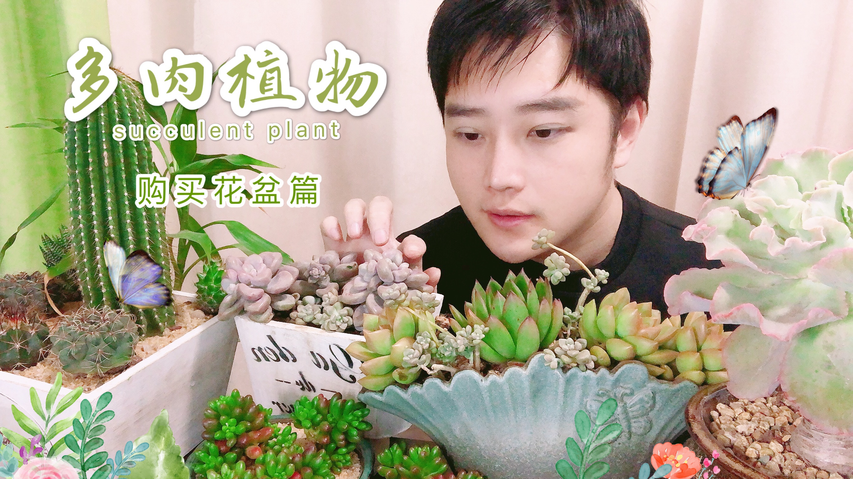 养多肉需要一个适合的花盆来衬托,多肉达人喜欢哪些花盆呢?