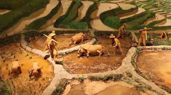 梦瞻读书:532万人到13300万人,农业革命厉害了