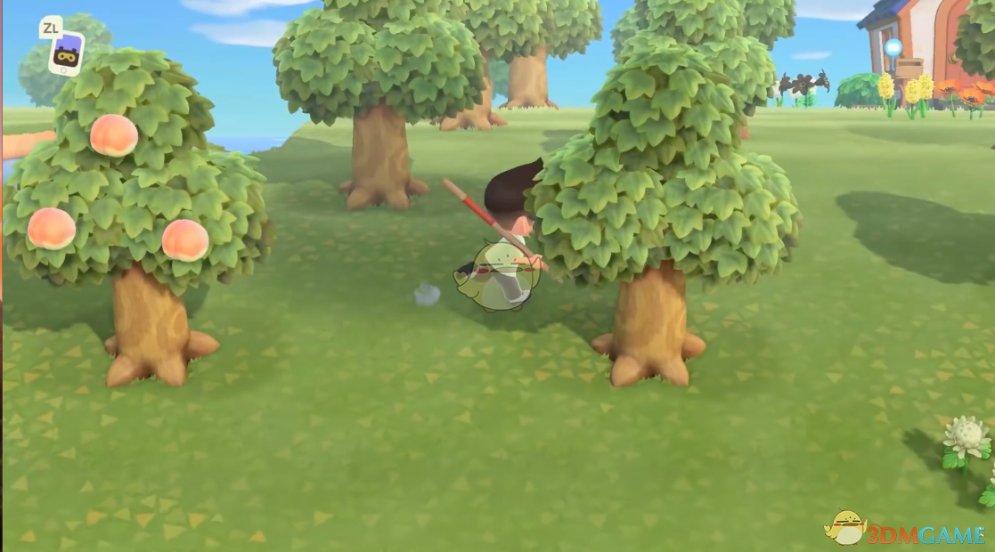 《集合啦!动物森友会》果树种植方法分享