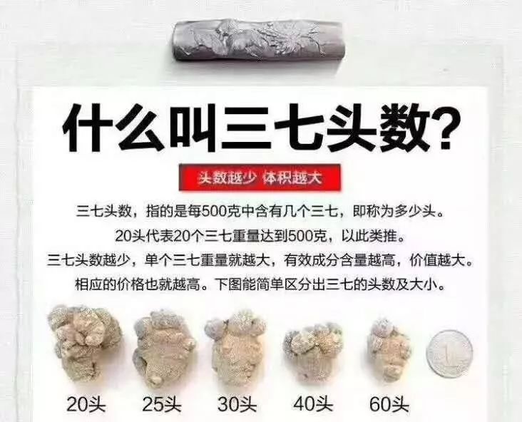 解三七20头