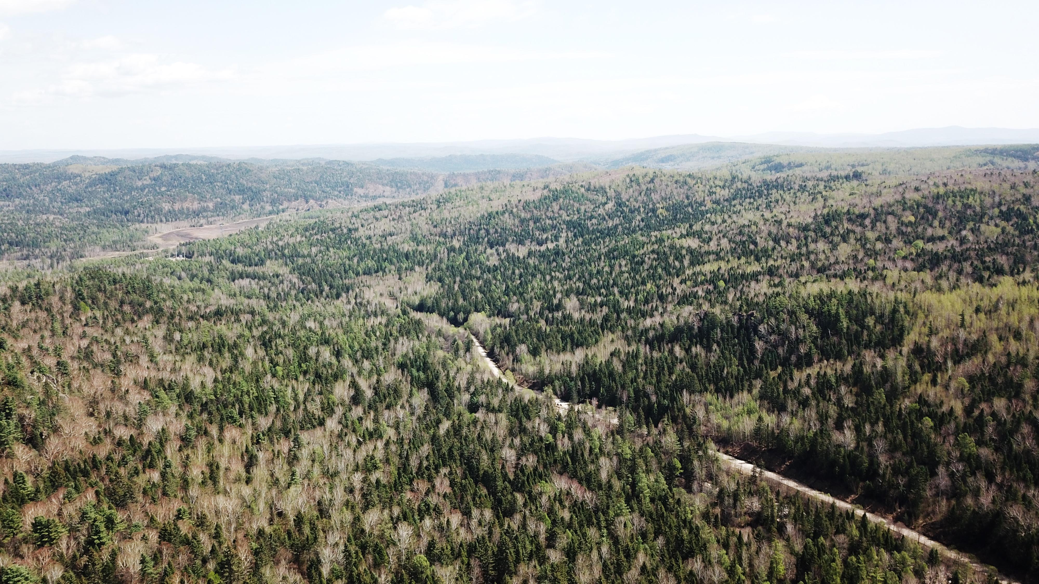 走进黑龙江小兴安岭石林国家森林公园