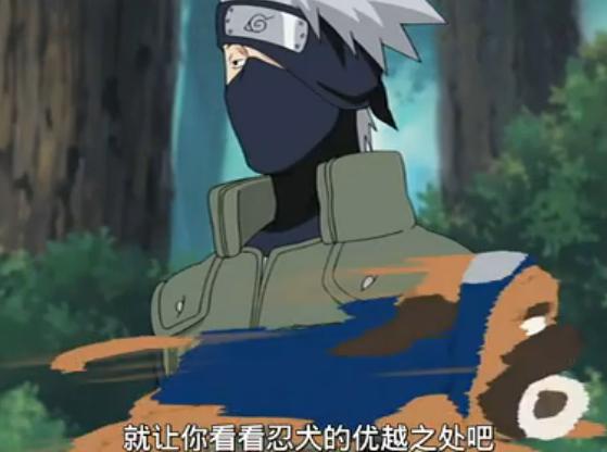 火影忍者卡卡西的忍犬帕克,竟然和佐井争宠?