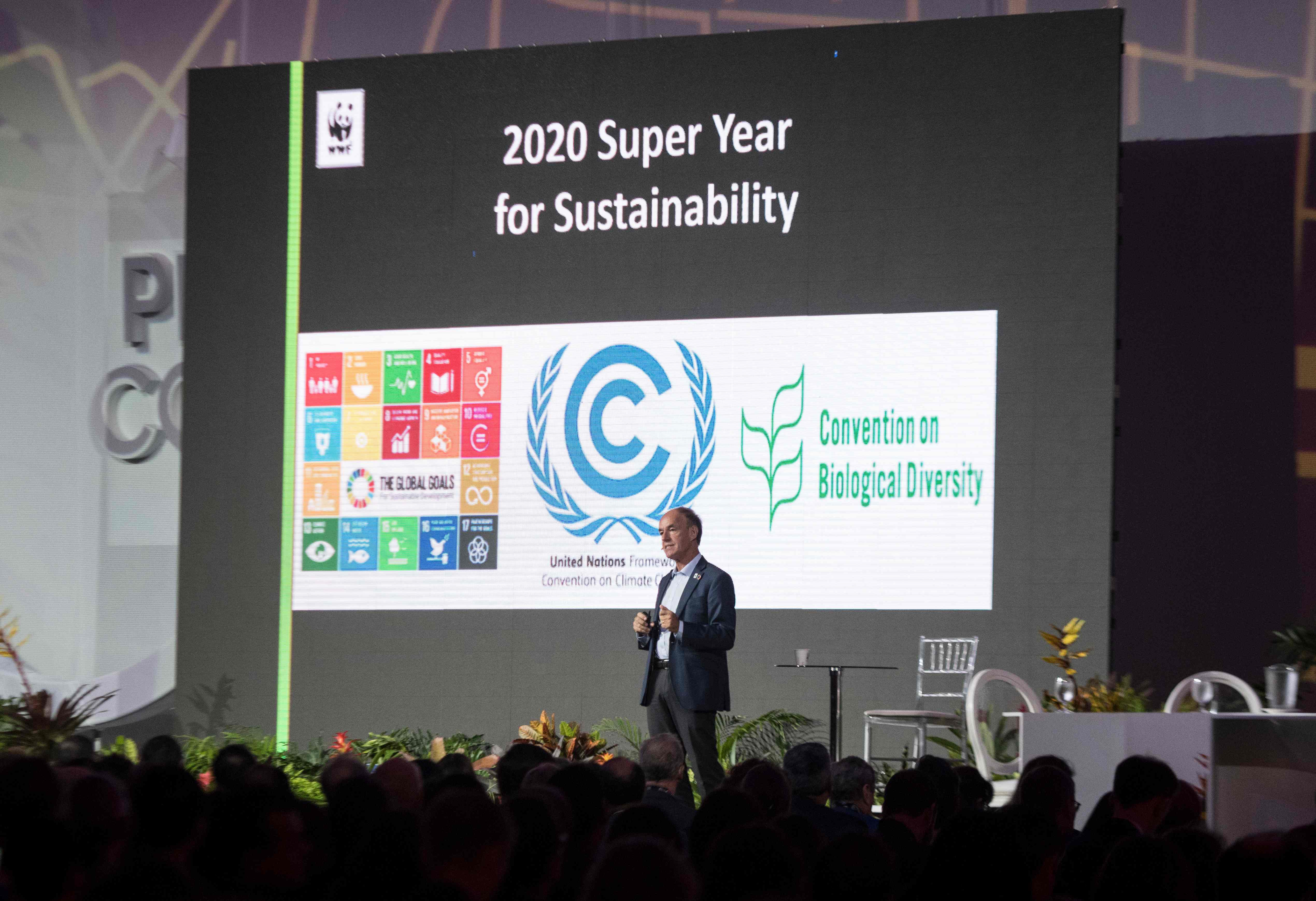 2019年联合国气候变化大会筹备会议在哥斯达黎加开幕(1)