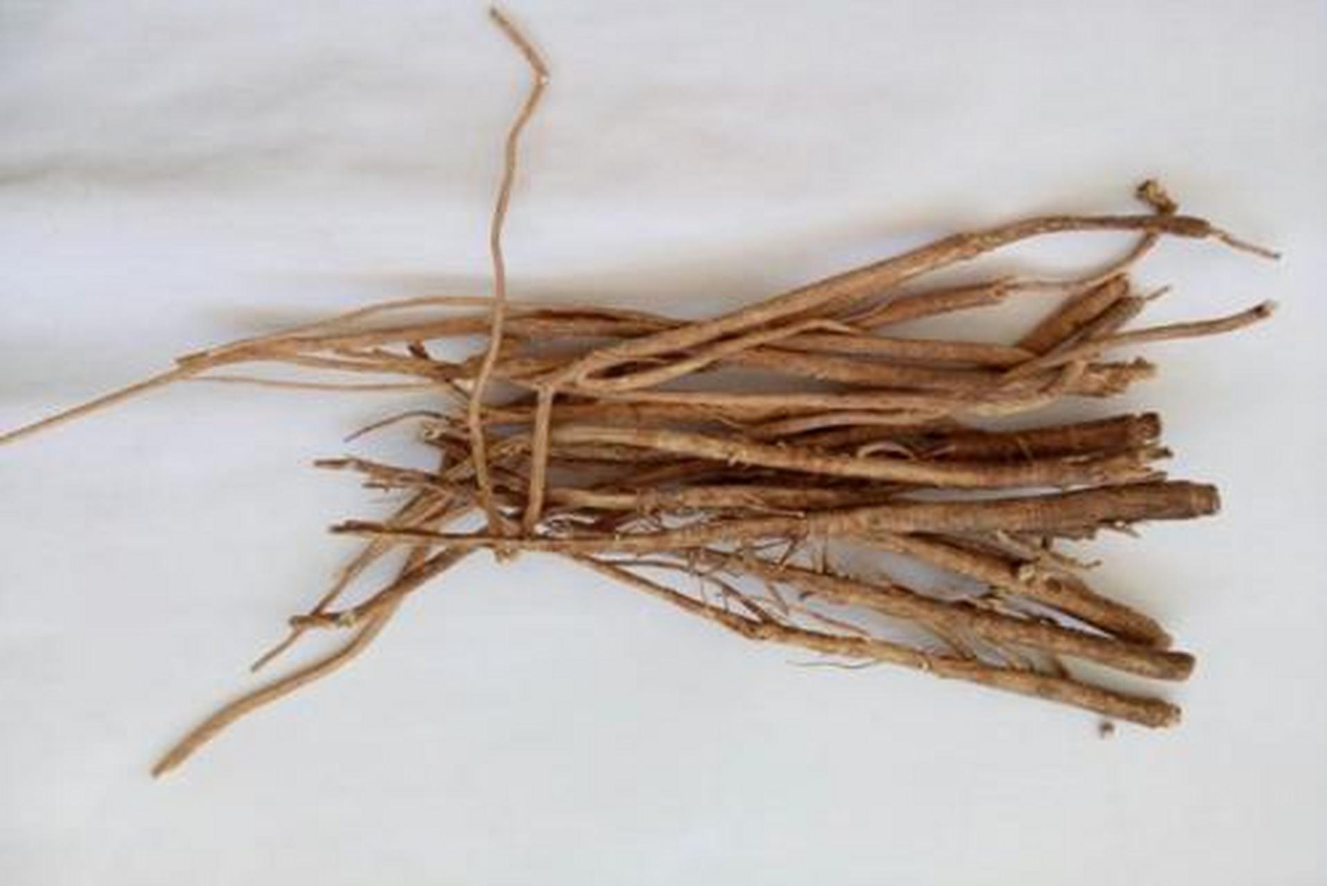 为麻黄科植物草麻黄或中麻的干燥根和根茎
