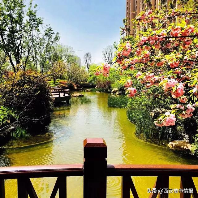 星河湾景观实景图