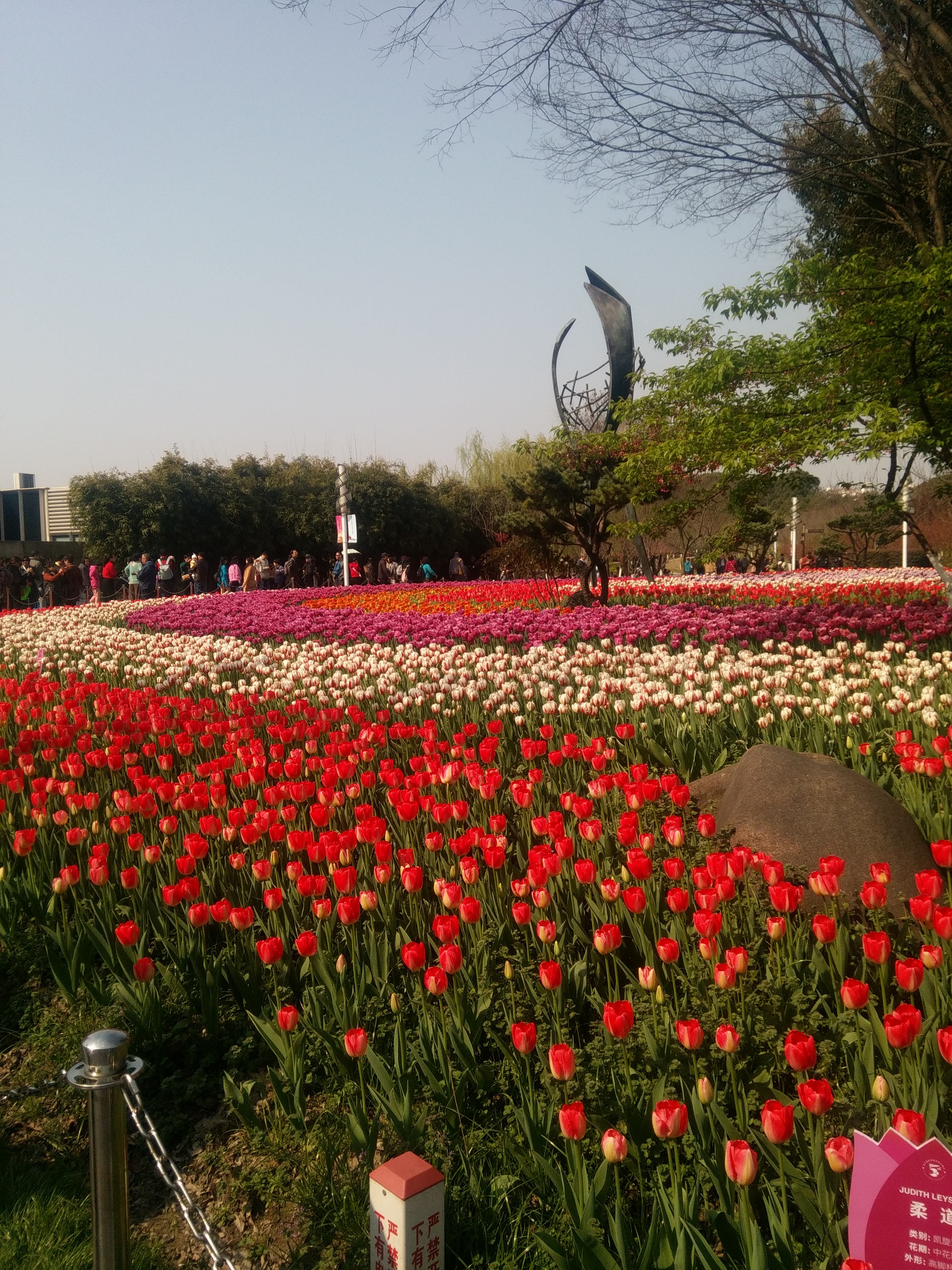 条状花坛,感觉铺到了天边.