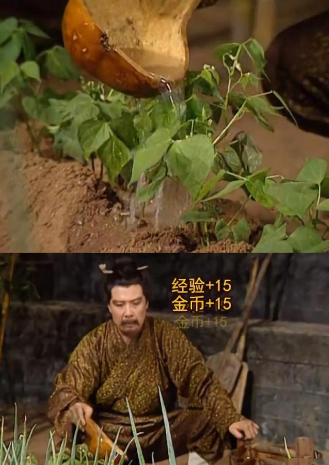 看剧开弹幕真的是三倍快乐,刘备种菜加经验是什么鬼?