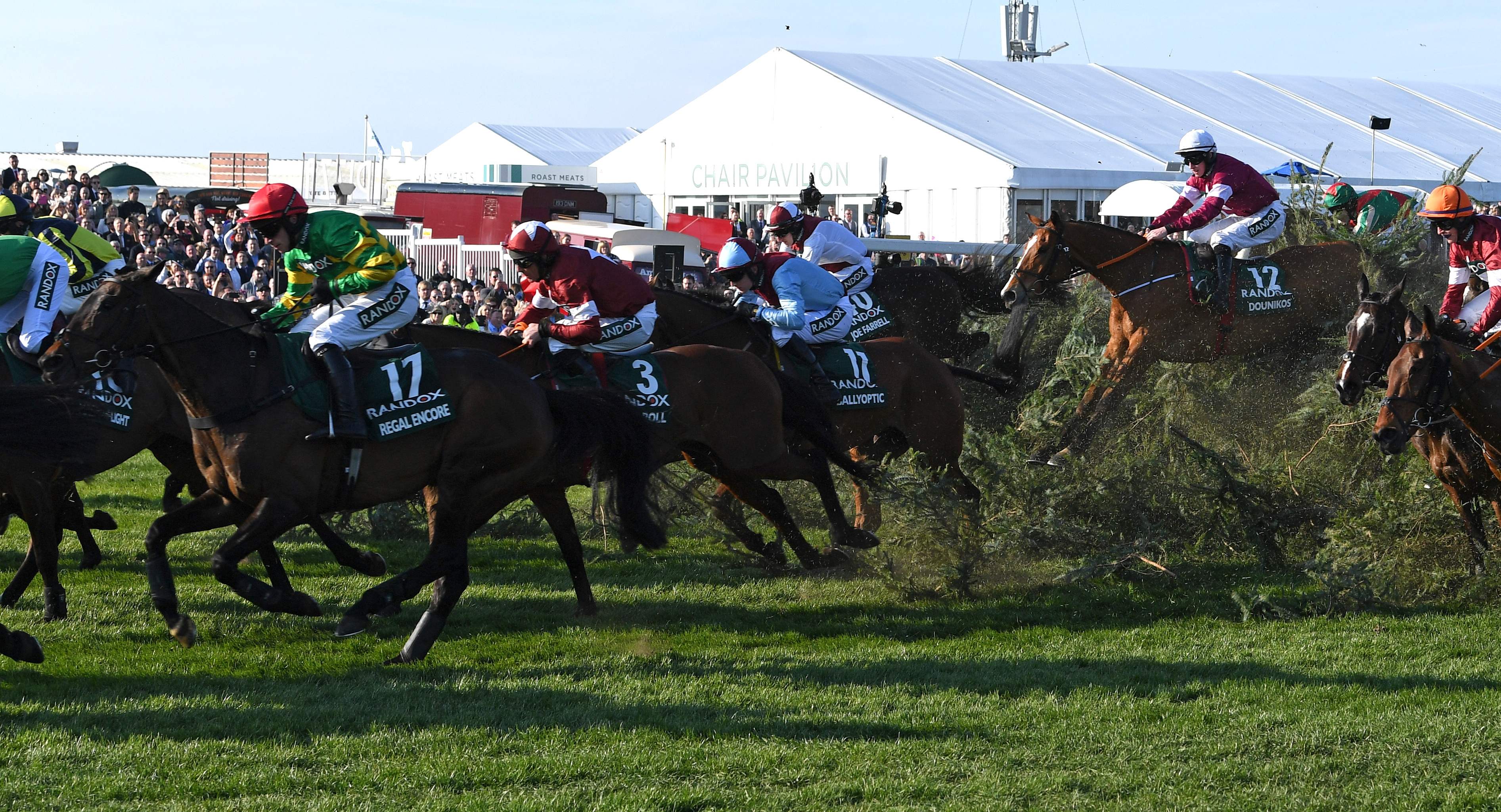 英国国家障碍赛马大赛落幕(3)