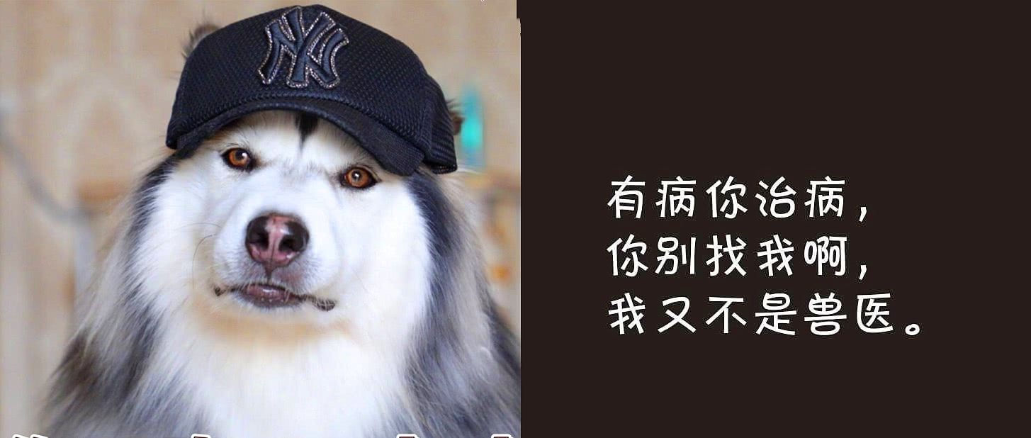 不带脏字的"优雅式"骂人:你脑袋空不要紧,关键是不要进水!