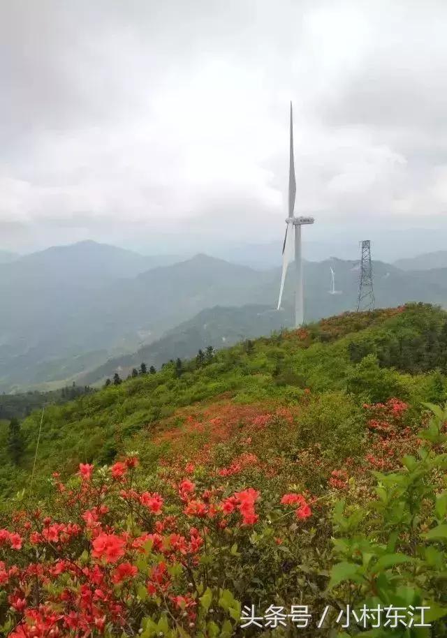 万载仙姑岽图片