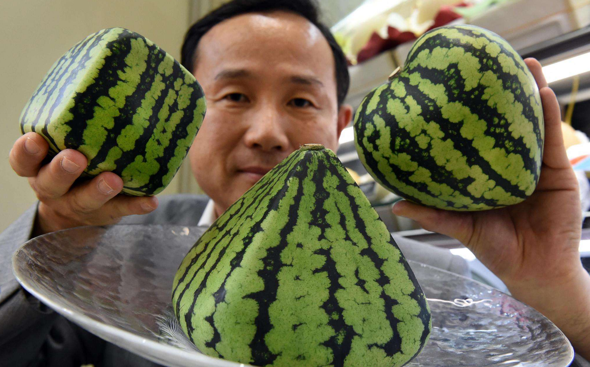 世上最贵的日本方西瓜,美国土豪一刀切开,吃了一口尴尬了