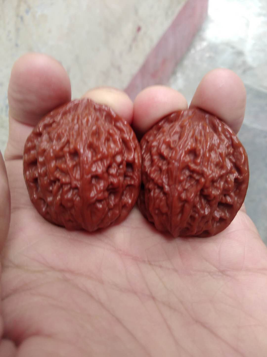 百度爱采购首页 商品专题_公子帽杨家坪公子帽,因产地命名的品种,崔凯