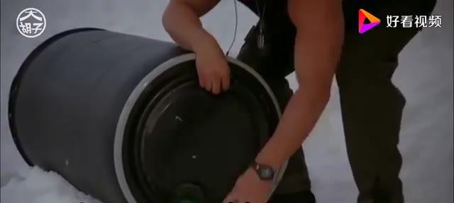 科学家从史前化石样本中提取出dna,意外培养出了巨型冰冻蜘蛛