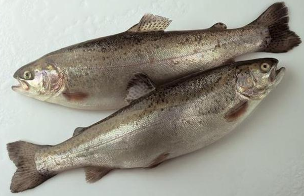 亚东鲑鱼:这种鲑鱼十分的昂贵,而且亚东鲑鱼的肉质十分的鲜嫩,厚实,吃