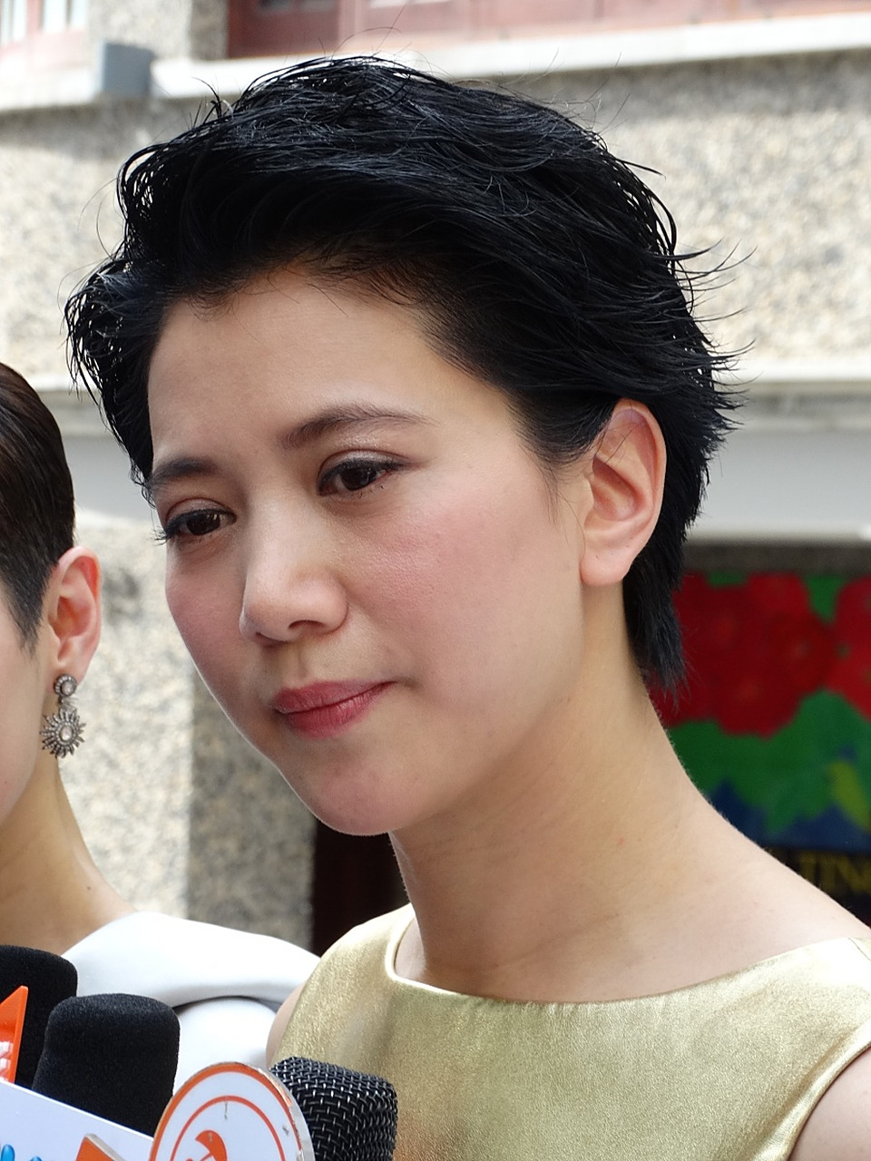 动态连更挑战# 今天突然看到关于袁咏仪的热搜,不由得让我想起那些年