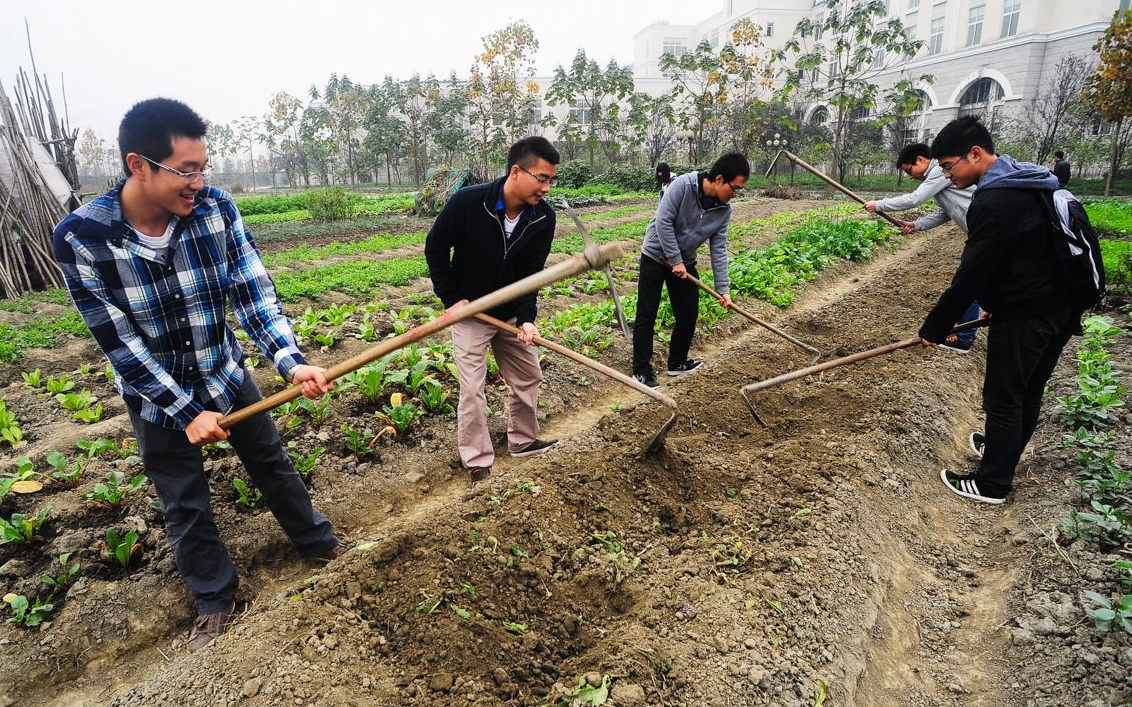 给你三百元一天,回农村种地,愿意吗?95后霸气回复,当场被录用