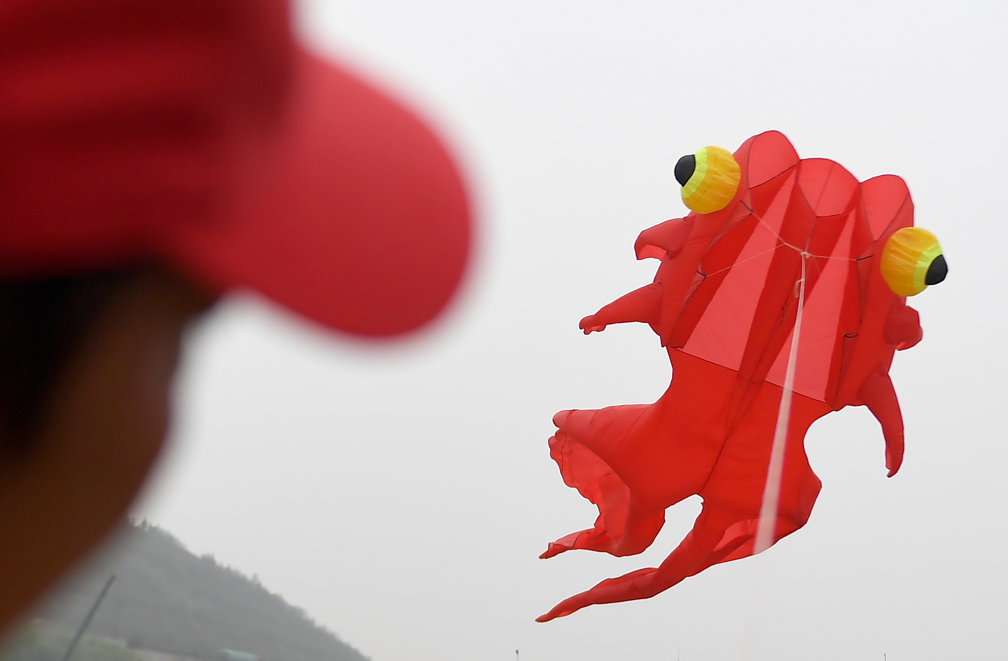 新华社照片,潼关(陕西),2019年4月12日    (体育)(4)全民健身——风筝