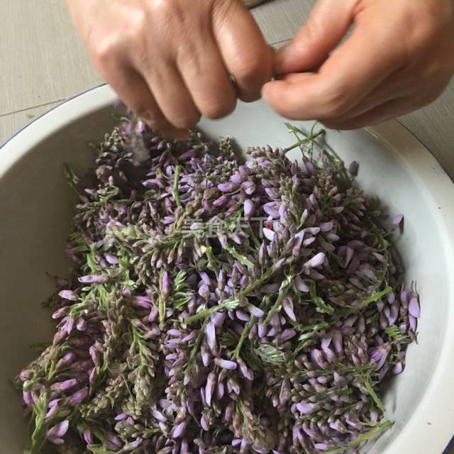 把紫藤花拿来蒸,最美味下火的野菜吃法