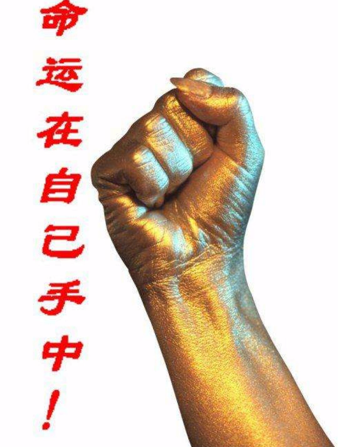 命运掌握在自己手中2