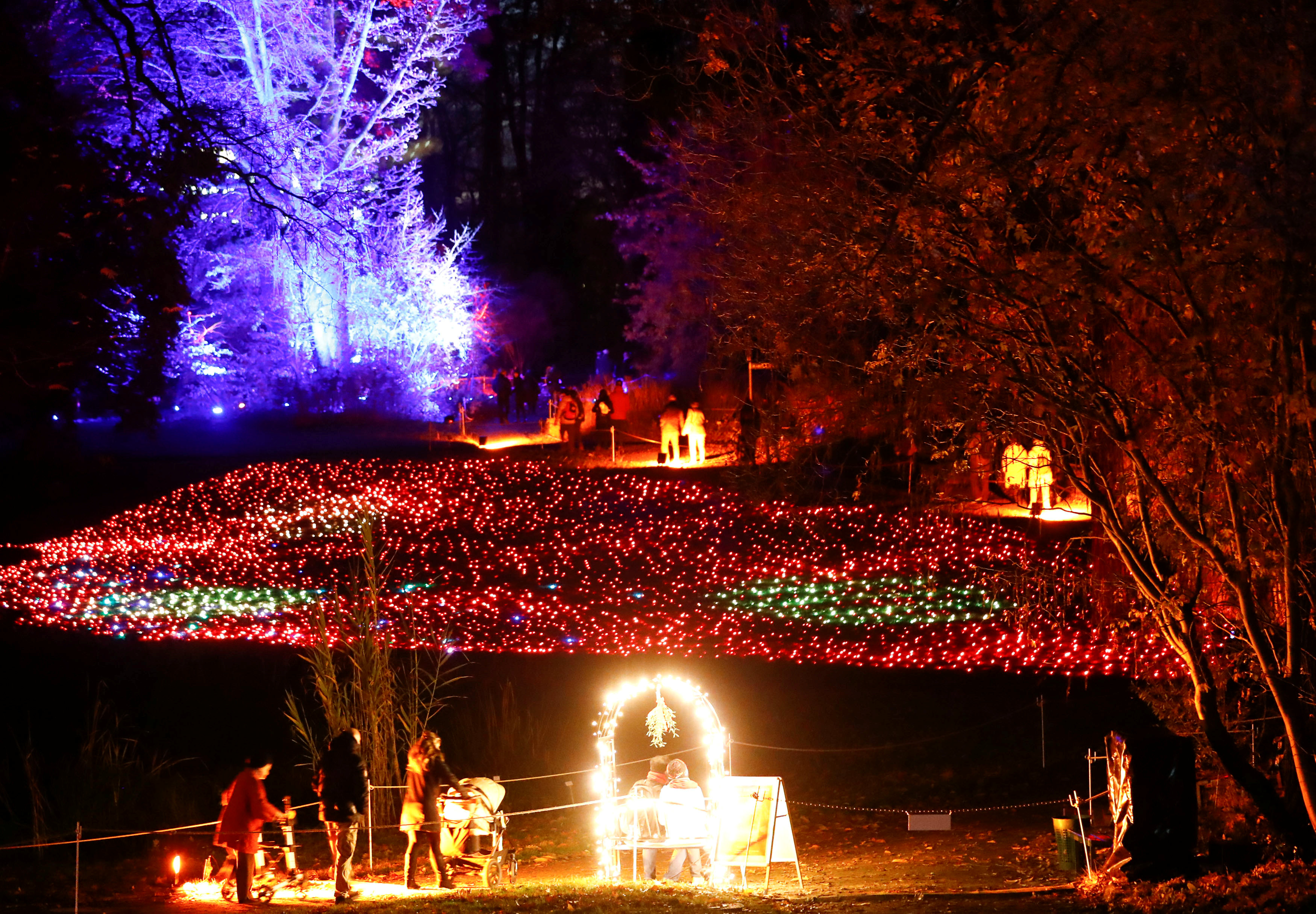 "柏林圣诞花园"灯光秀开幕(2)