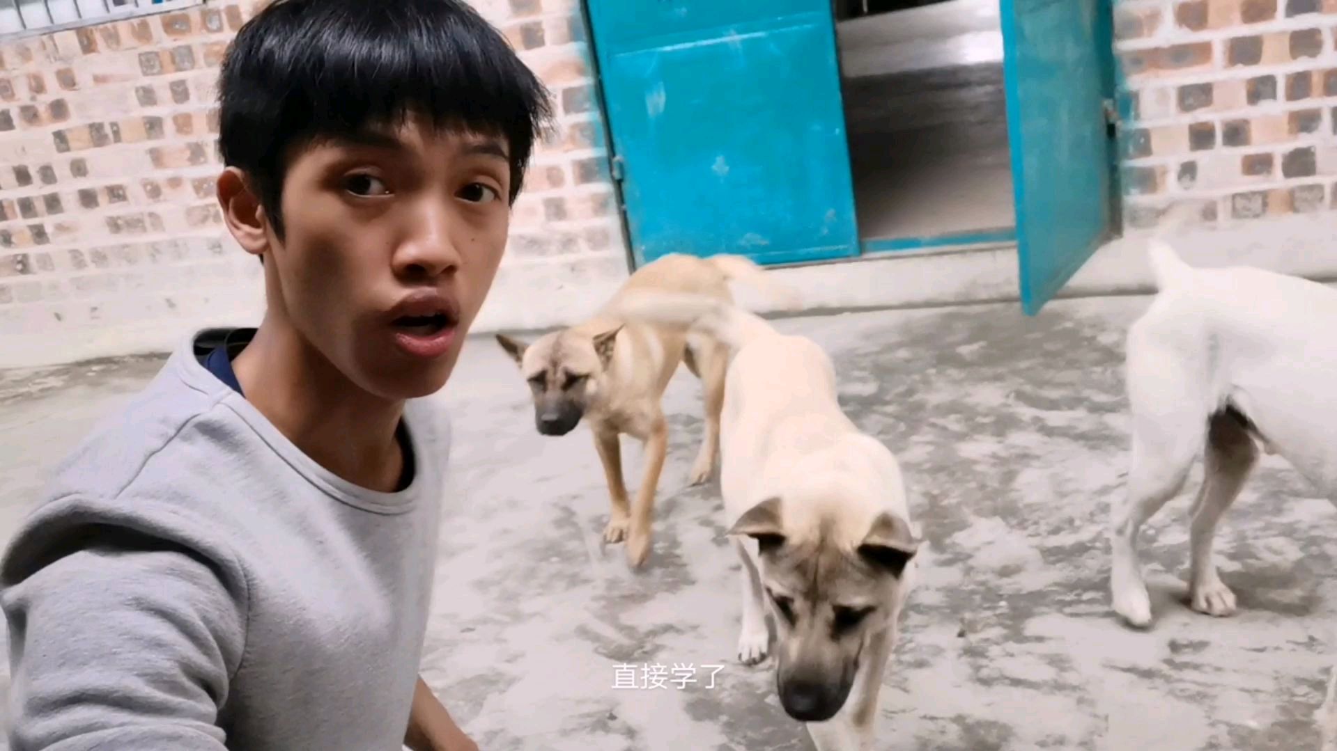 男子学狗叫,看看狗有什么反应?