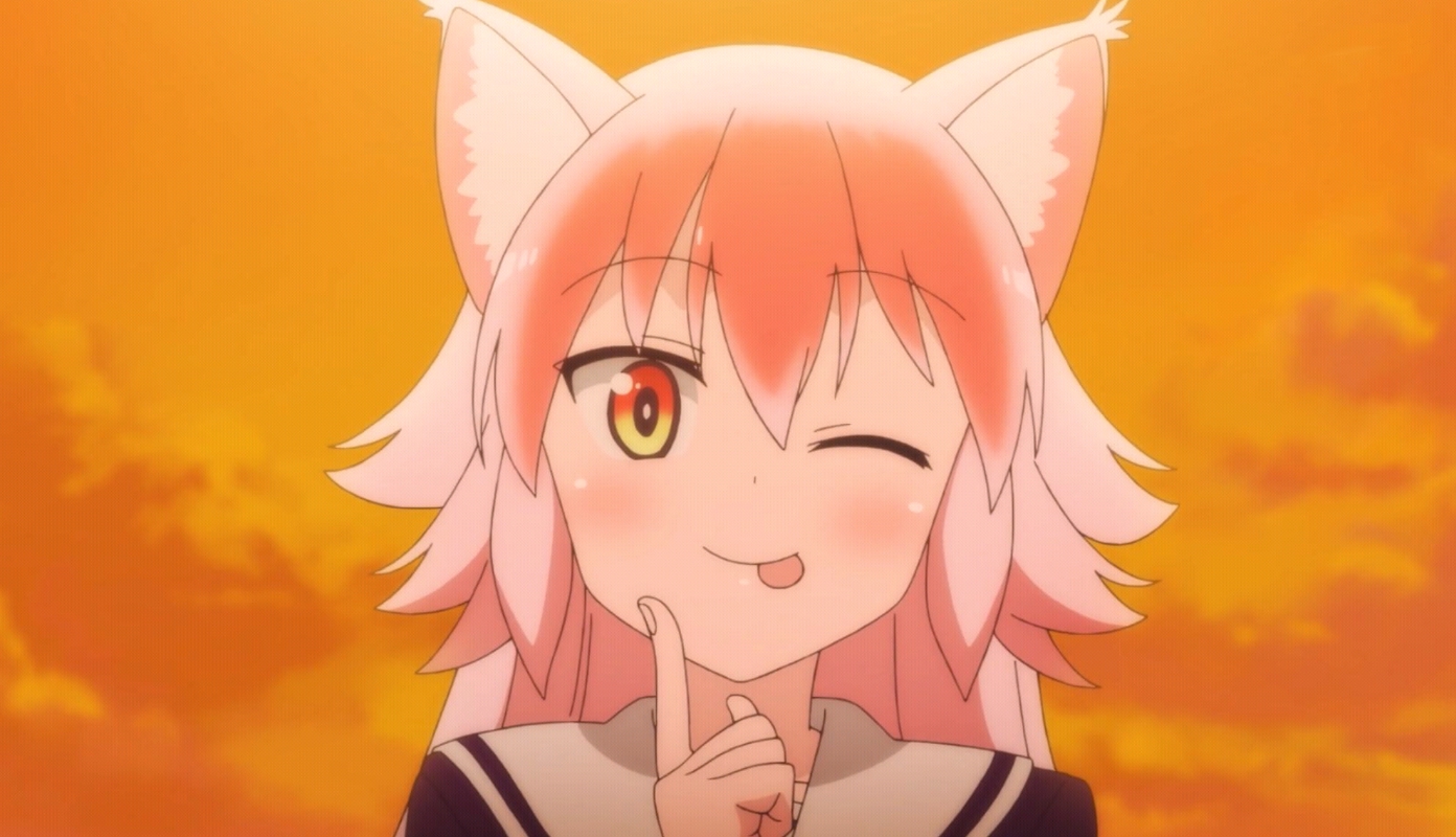 新番动漫:被狼女缠上怎么办,那就开启后宫番吧