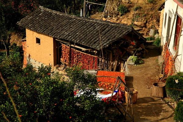 黄山市歙县上丰乡姬川村(俗称:鸡公尖).