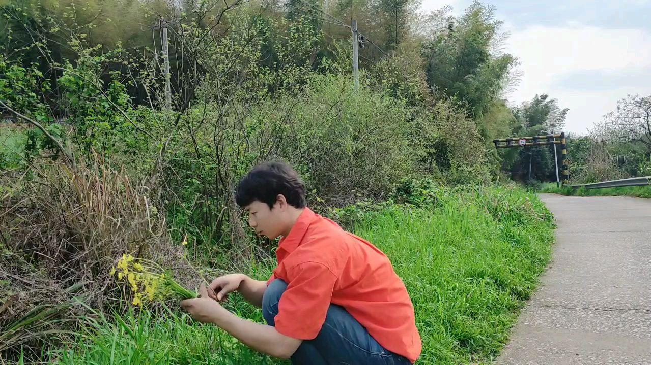 家门口摘的野花蕨菜也成为了我设计的素材,用植物设计的衣服太美