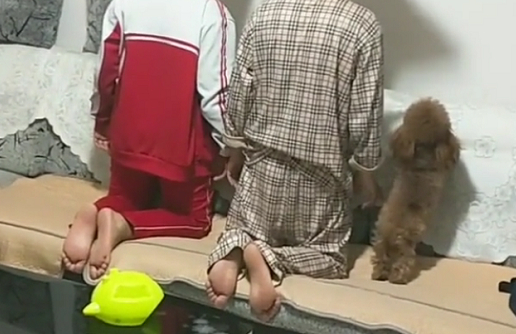 "受气父子"被罚跪着面壁走红,一旁无辜的狗狗:我是清白滴!