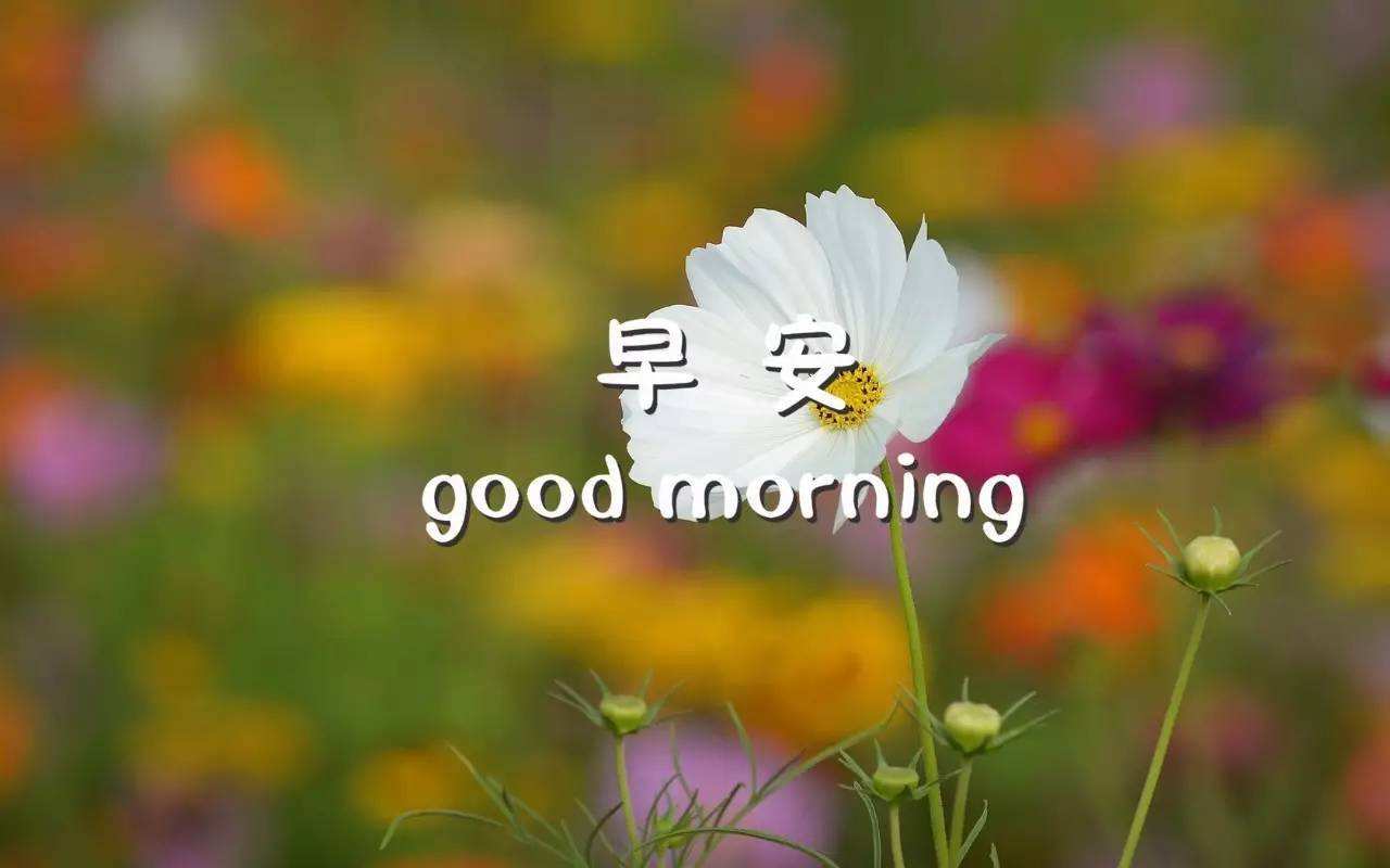 早安心语:励志好心情,过好每一天!